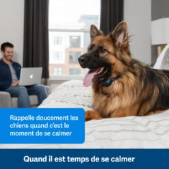 PetSafe ANTI ABOIEMENT SONORE RECHARGEABLE -Plein Air Pêche Magasin anti aboiement sonore rechargeable 2