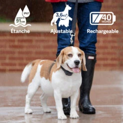 PetSafe ANTI ABOIEMENT SONORE RECHARGEABLE -Plein Air Pêche Magasin anti aboiement sonore rechargeable 3