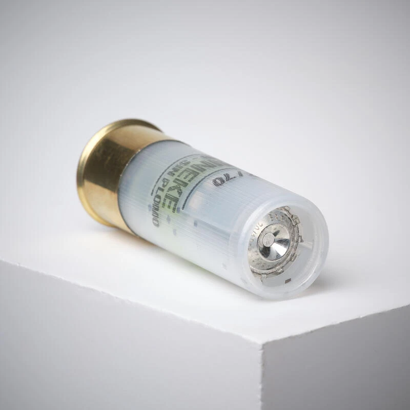 BALLE BRENNEKE SANS PLOMB 19 G CALIBRE 12/70 X 5 6 BALLE BRENNEKE SANS PLOMB 19 G CALIBRE 12/70 X 5 – Image 4