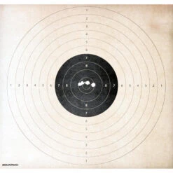 BALLE SANS PLOMB SPEED CALIBRE 12 X 5 -Plein Air Pêche Magasin balle sans plomb speed calibre 12 x 5 6