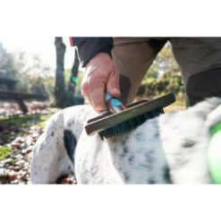 No Brand BROSSE DE MASSAGE POUR CHIEN -Plein Air Pêche Magasin brosse de massage pour chien 3