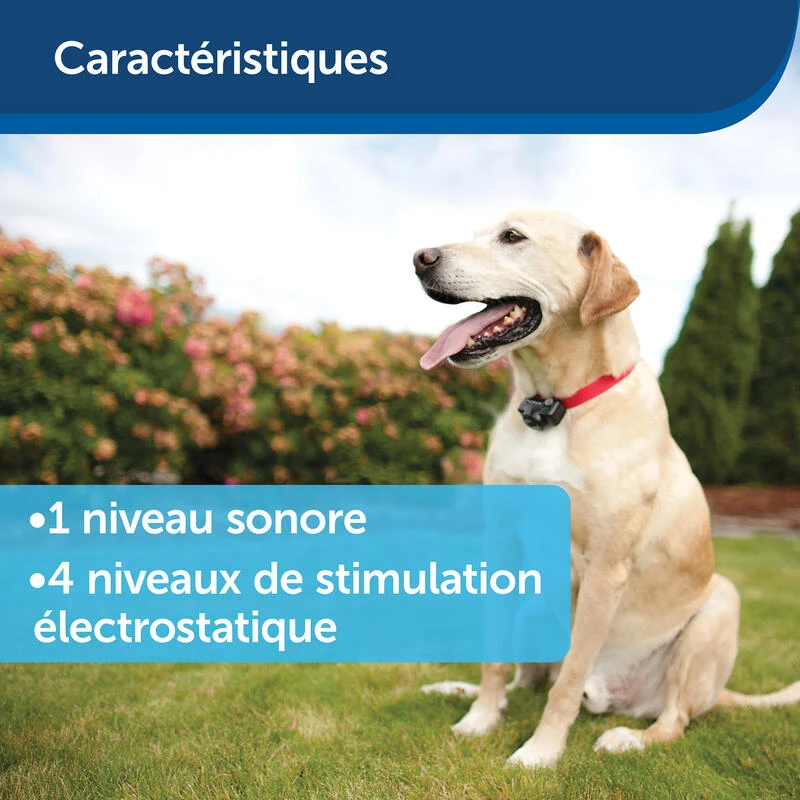 Clôture Anti-fugue Invisible Pour Chien Petsafe 11 Clôture Anti-fugue Invisible Pour Chien Petsafe – Image 9
