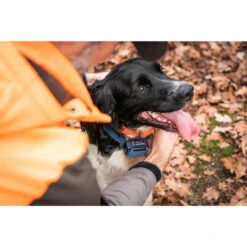 Collier Anti-aboiement Pour Chien Num'axes Canicalm Premium -Plein Air Pêche Magasin collier anti aboiement pour chien numaxes canicalm premium 2