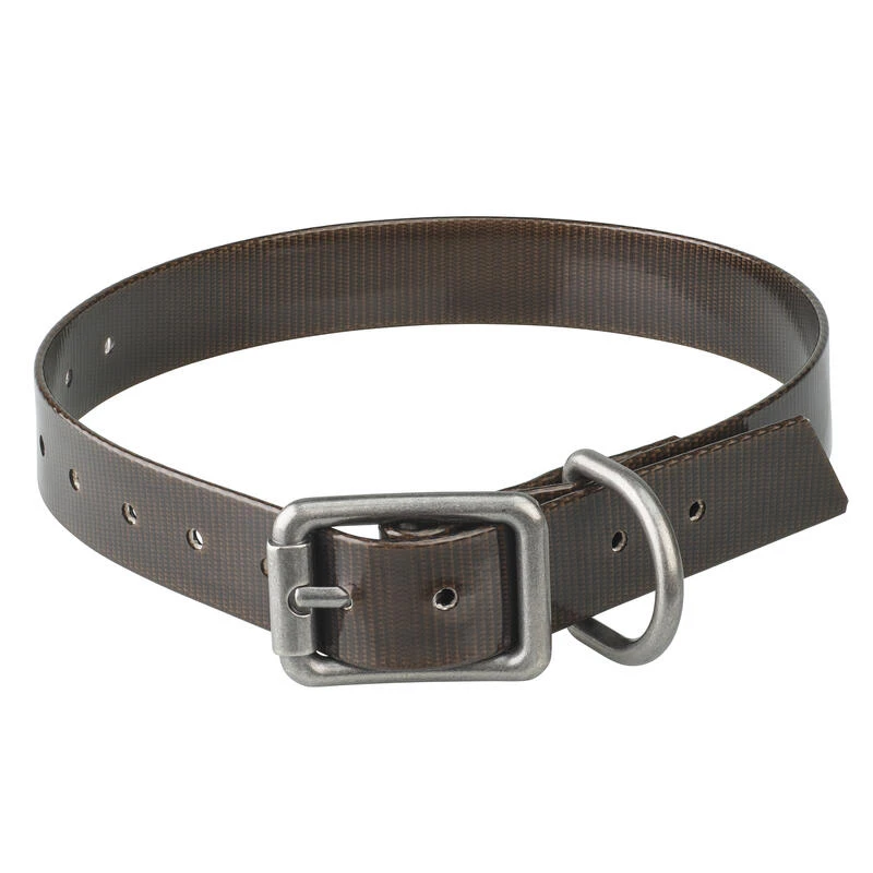 Collier Chien Noir 500 4 Collier Chien Noir 500 – Image 2