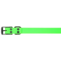 Collier Chien Vert 900 15 Collier Chien Vert 900 -Plein Air Pêche Magasin collier chien vert 900 6