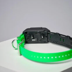 COLLIER SUPPLEMENTAIRE REPERAGE & DRESSAGE DOGTRA PATHFINDER V2. -Plein Air Pêche Magasin collier supplementaire reperage and dressage dogtra pathfinder v2 5