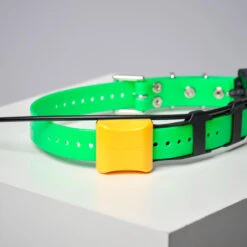 COLLIER SUPPLEMENTAIRE REPERAGE & DRESSAGE DOGTRA PATHFINDER V2. -Plein Air Pêche Magasin collier supplementaire reperage and dressage dogtra pathfinder v2 6