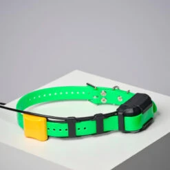 COLLIER SUPPLEMENTAIRE REPERAGE & DRESSAGE DOGTRA PATHFINDER V2. -Plein Air Pêche Magasin collier supplementaire reperage and dressage dogtra pathfinder v2 7