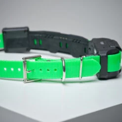 Collier Supplémentaire Repérage Et Dressage Pour Chien Dogtra Pathfinder -Plein Air Pêche Magasin collier supplementaire reperage et dressage pour chien dogtra pathfinder 2