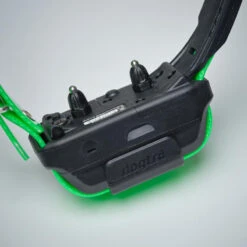Collier Supplémentaire Repérage Et Dressage Pour Chien Dogtra Pathfinder -Plein Air Pêche Magasin collier supplementaire reperage et dressage pour chien dogtra pathfinder 5