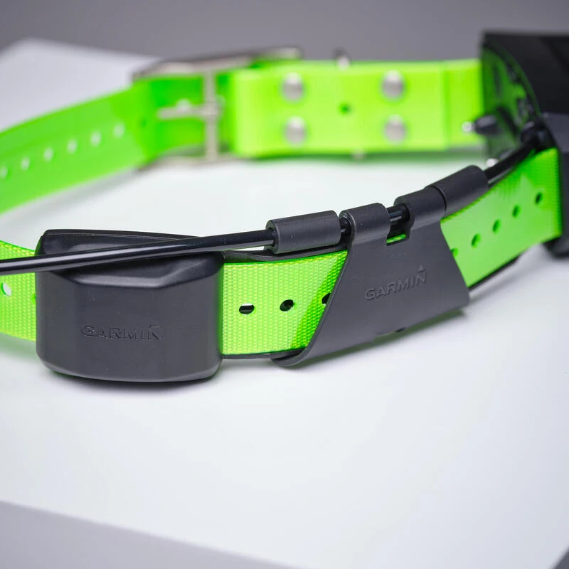 Collier Supplémentaire Repérage Et Dressage Pour Chien Garmin TT15X 8 Collier Supplémentaire Repérage Et Dressage Pour Chien Garmin TT15X – Image 6