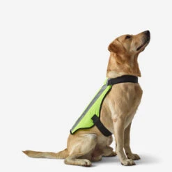 GILET CHIEN CHASSE JAUNE 100 -Plein Air Pêche Magasin gilet chien chasse jaune 100 2