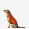 Gilet De Protection Pour Chien Supertrack -Plein Air Pêche Magasin gilet de protection pour chien supertrack