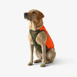 Gilet De Protection Pour Chien Supertrack -Plein Air Pêche Magasin gilet de protection pour chien supertrack 3