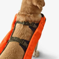 Gilet De Protection Pour Chien Supertrack -Plein Air Pêche Magasin gilet de protection pour chien supertrack 4