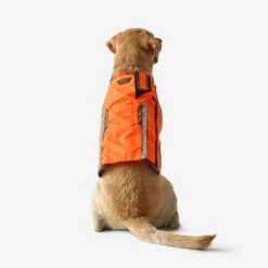 Gilet De Protection Pour Chien Supertrack -Plein Air Pêche Magasin gilet de protection pour chien supertrack 5