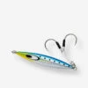 Daiwa Leurre Jig Saltiga SK 60gr Sardine Pêche En Mer -Plein Air Pêche Magasin leurre jig saltiga sk 60gr sardine peche en mer