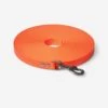 Longe Plate Pour Chien 15m Fluo Orange 1 Longe Plate Pour Chien 15m Fluo Orange -Plein Air Pêche Magasin longe plate pour chien 15m fluo orange