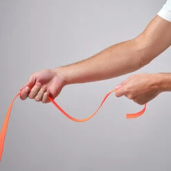 Longe Plate Pour Chien 15m Fluo Orange -Plein Air Pêche Magasin longe plate pour chien 15m fluo orange 2