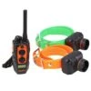 PACK 2 COLLIERS + TÉLÉCOMMANDE DE DRESSAGE ET REPÉRAGE POUR CHIEN DOGTRA 2600T&B 1 PACK 2 COLLIERS + TÉLÉCOMMANDE DE DRESSAGE ET REPÉRAGE POUR CHIEN DOGTRA 2600T&B -Plein Air Pêche Magasin pack 2 colliers telecommande de dressage et reperage pour chien dogtra 2600t and b