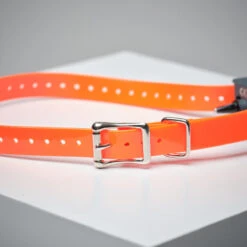 Pack Collier + Télécommande De Dressage Pour Chien Sportdog SD-875 -Plein Air Pêche Magasin pack collier telecommande de dressage pour chien sportdog sd 875 1