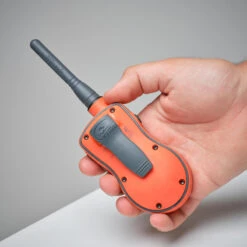 Pack Collier + Télécommande De Dressage Pour Chien Sportdog SD-875 -Plein Air Pêche Magasin pack collier telecommande de dressage pour chien sportdog sd 875 6