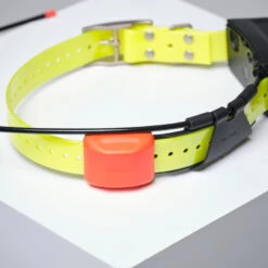 PACK COLLIER + TÉLÉCOMMANDE DE REPÉRAGE/DRESSAGE CHIEN GARMIN ALPHA 200 T5X -Plein Air Pêche Magasin pack collier telecommande de reperagedressage chien garmin alpha 200 t5x 7